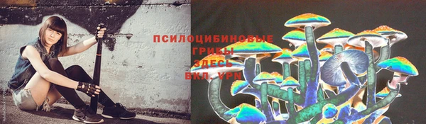 герыч Гусь-Хрустальный