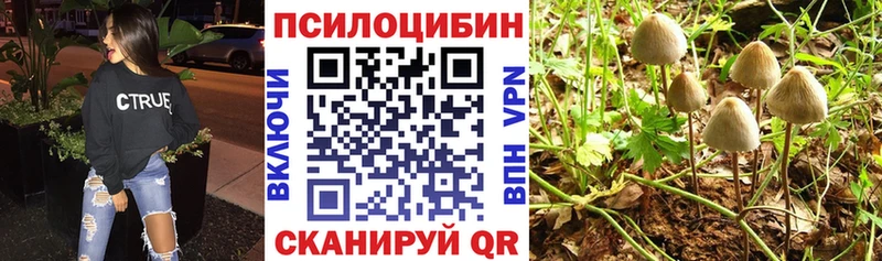 Псилоцибиновые грибы Psilocybe  купить наркотики цена  Стерлитамак 